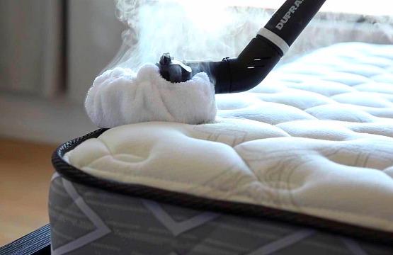 service de desinfection punaises de lit paris 19